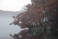 FOG-lake-fall