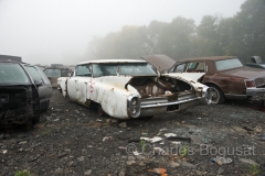 fog-junkyard-cadillac